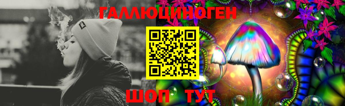 Псилоцибиновые грибы Psilocybe  Вход с VPN  Ухта 